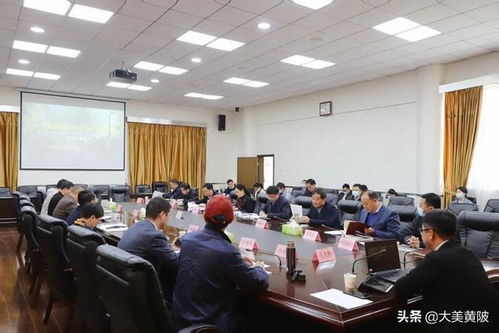 區(qū)領導專題聽取武漢中華恐龍園旅游度假區(qū)項目設計方案匯報