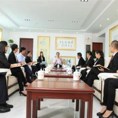 電競項目商業(yè)計劃書范例及會議展覽服務規(guī)劃